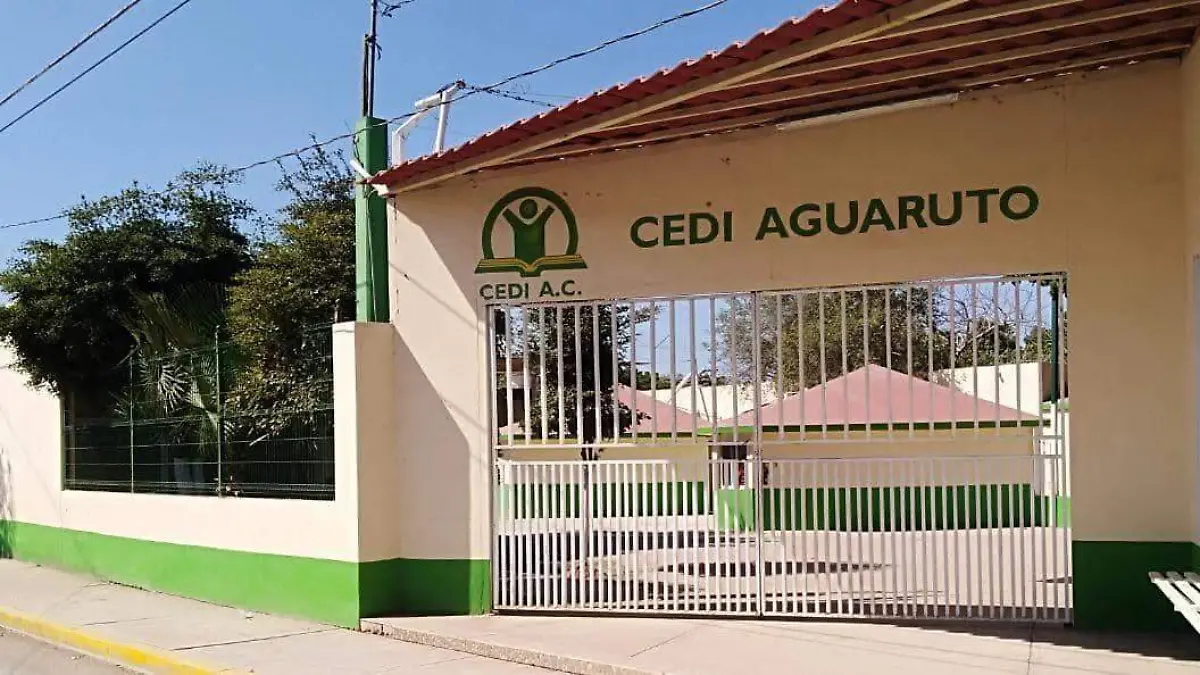 cedi - aguaruto