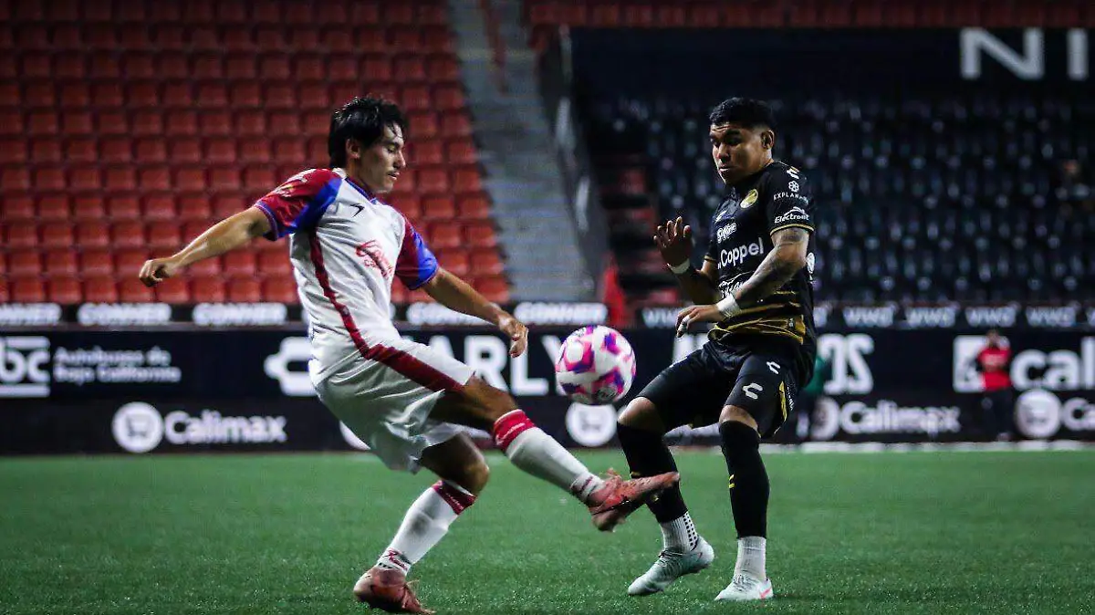 dorados-atlant