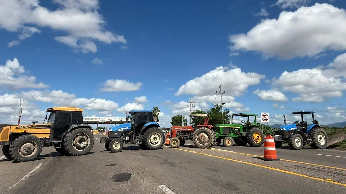 WhatsApp Image 2025-10-14 at 1.09.12 PM