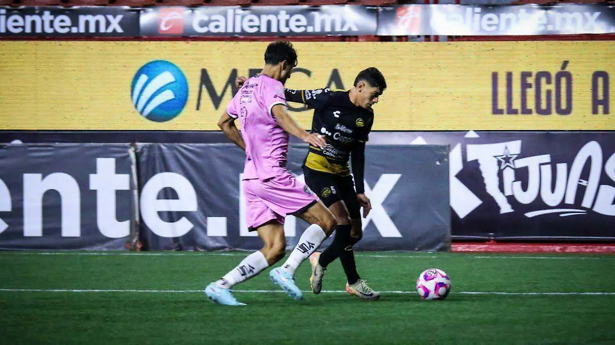 dorados