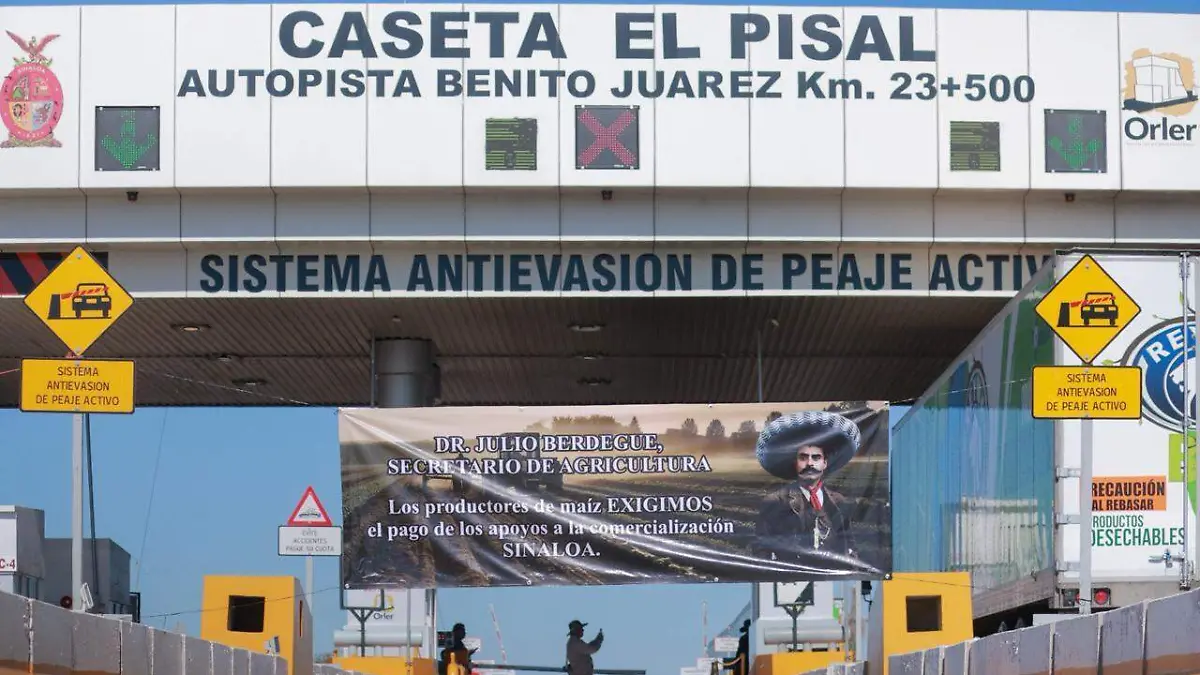 WhatsApp Image 2025-10-27 at 10.41.45 AM (1)