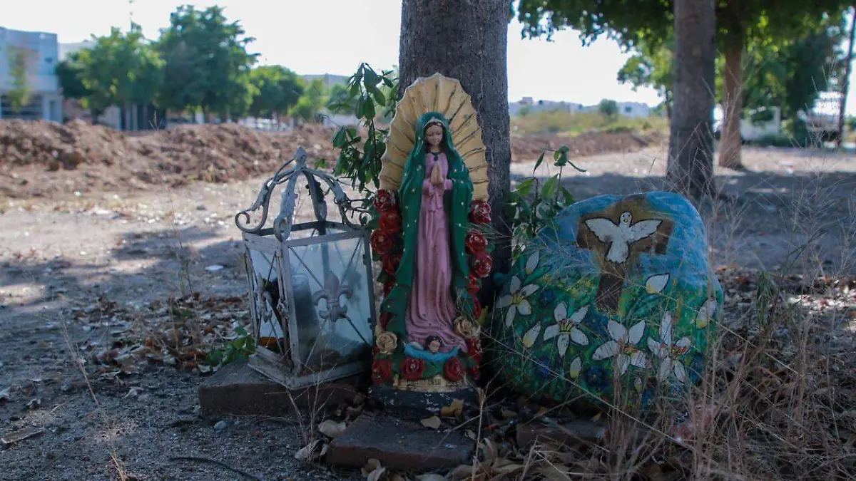 fraccionamiento - dorada