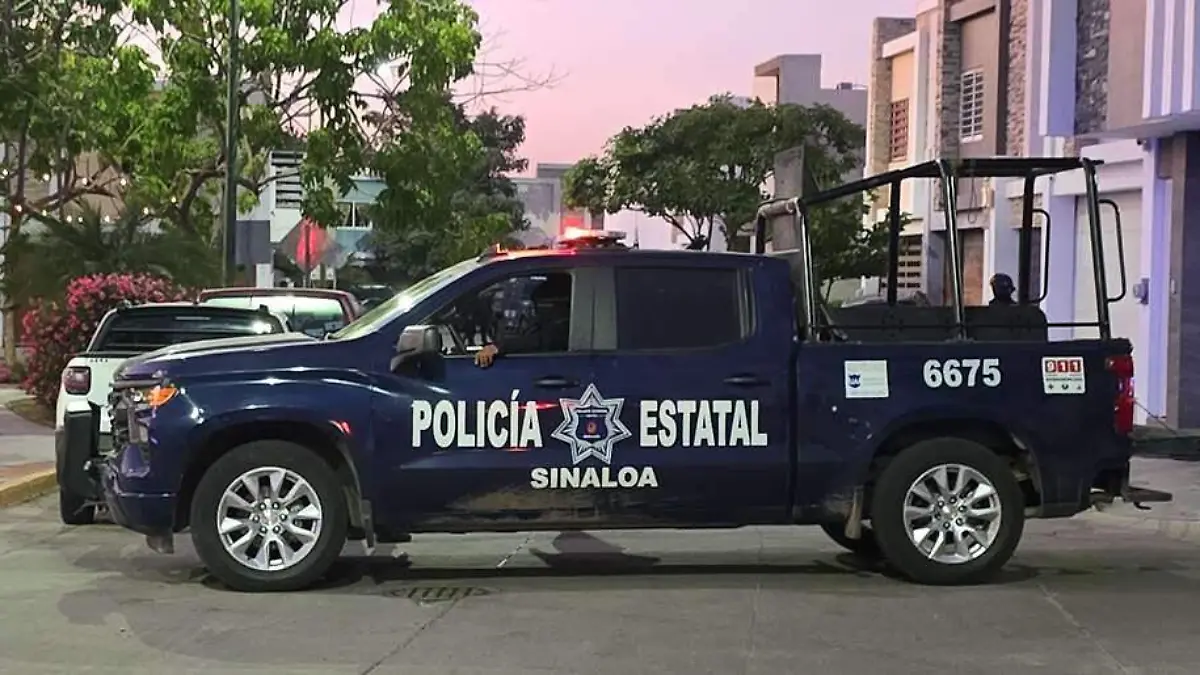 policia- estatal - operativo