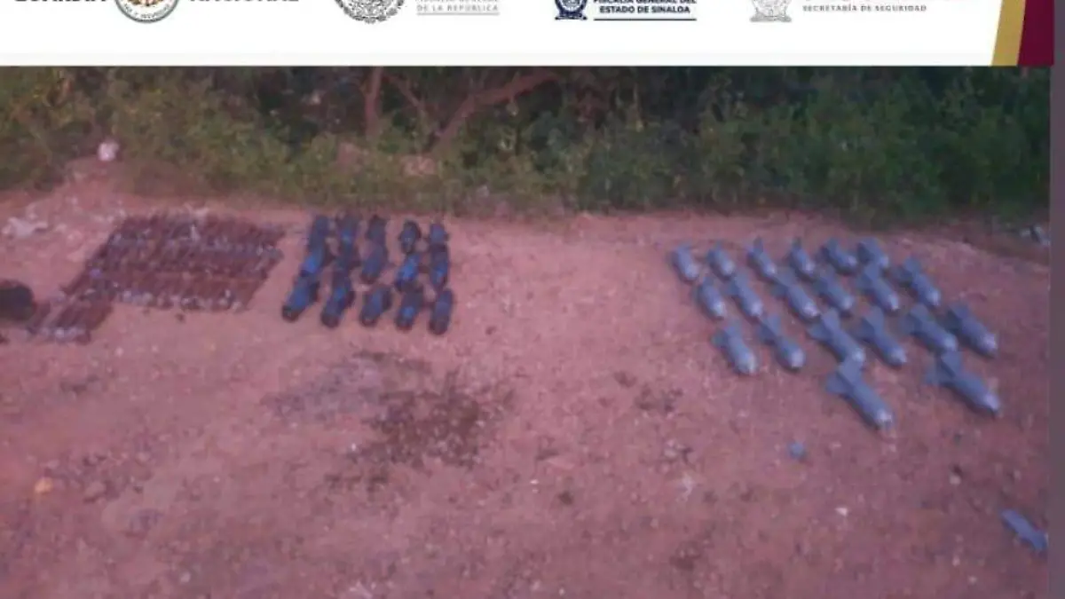 WhatsApp Image 2025-11-12 at 2.29.51 PM