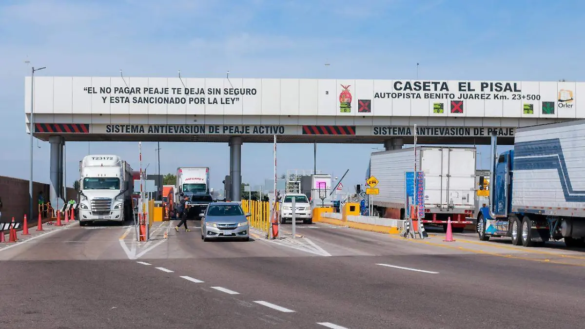 WhatsApp Image 2025-11-18 at 11.35.44 AM (1)