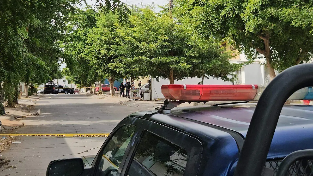 WhatsApp Image 2025-12-01 at 1.26.53 PM