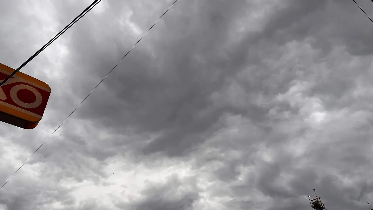 WhatsApp Image 2025-12-05 at 8.12.52 AM