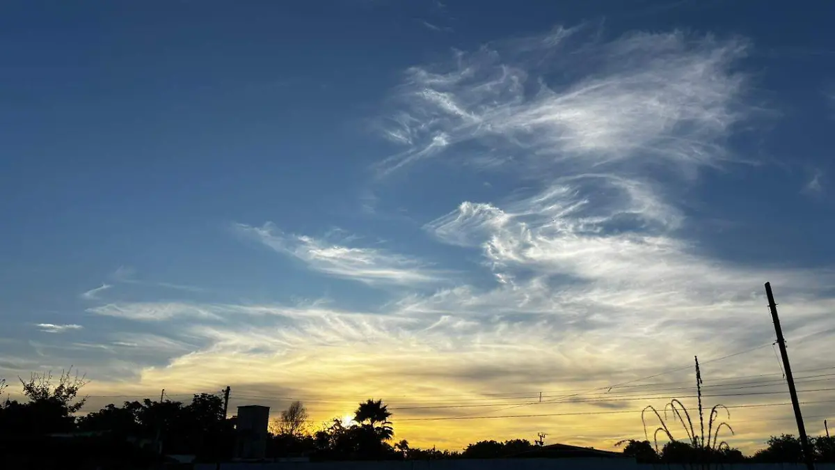 WhatsApp Image 2025-12-09 at 8.11.29 AM