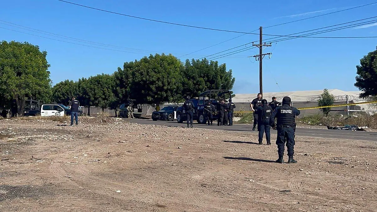 WhatsApp Image 2025-12-16 at 12.37.18 PM