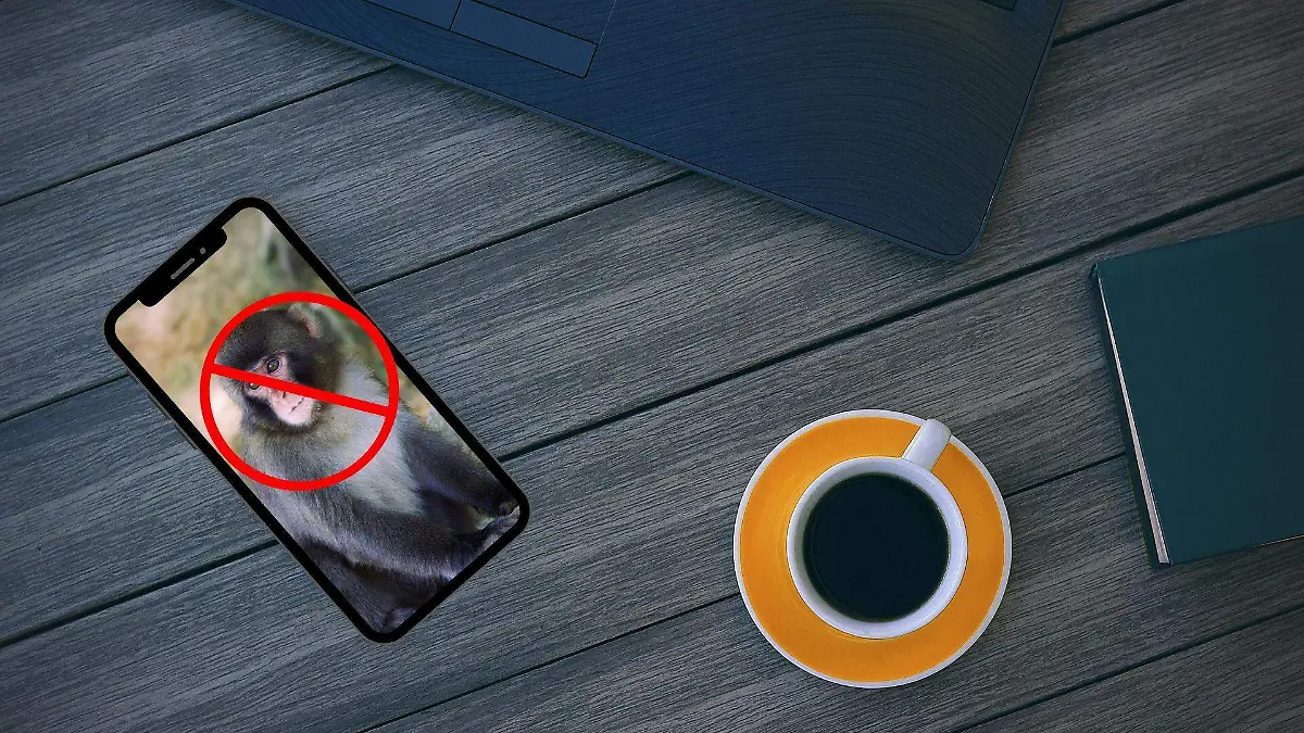 Mono-araña-profepa-tematica