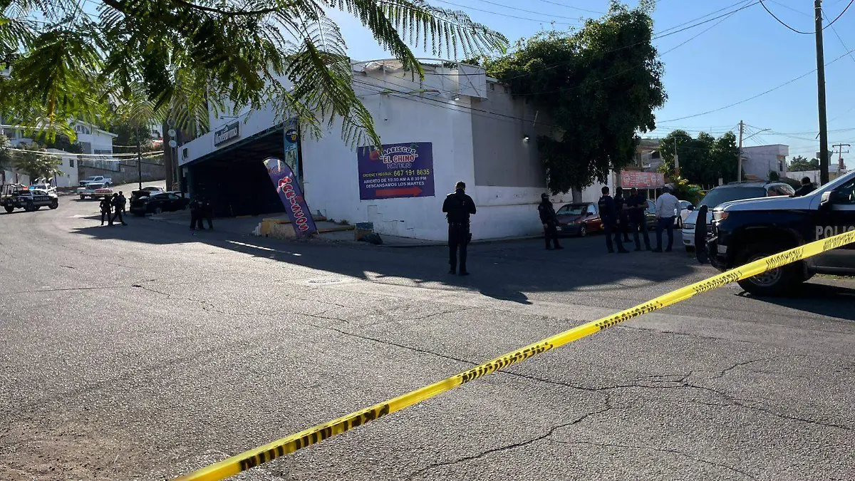 WhatsApp Image 2025-12-17 at 2.54.47 PM