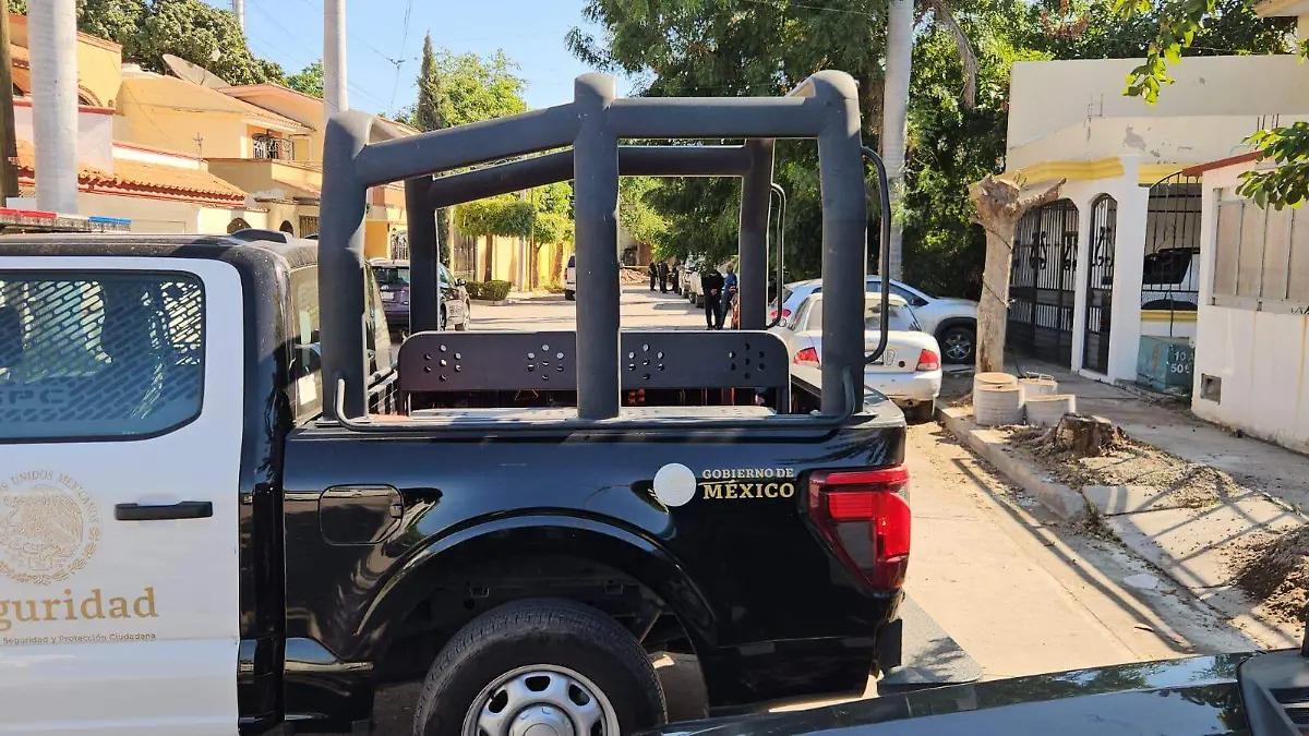 WhatsApp Image 2025-12-18 at 3.10.01 PM