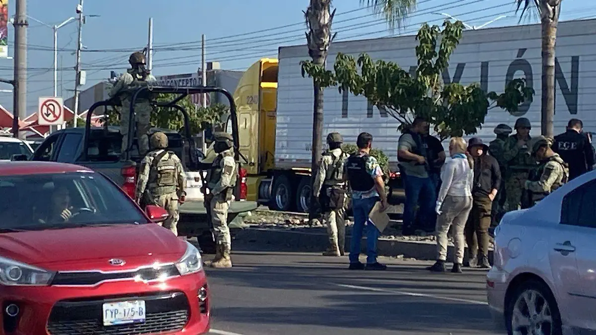 WhatsApp Image 2025-12-19 at 10.14.37 AM