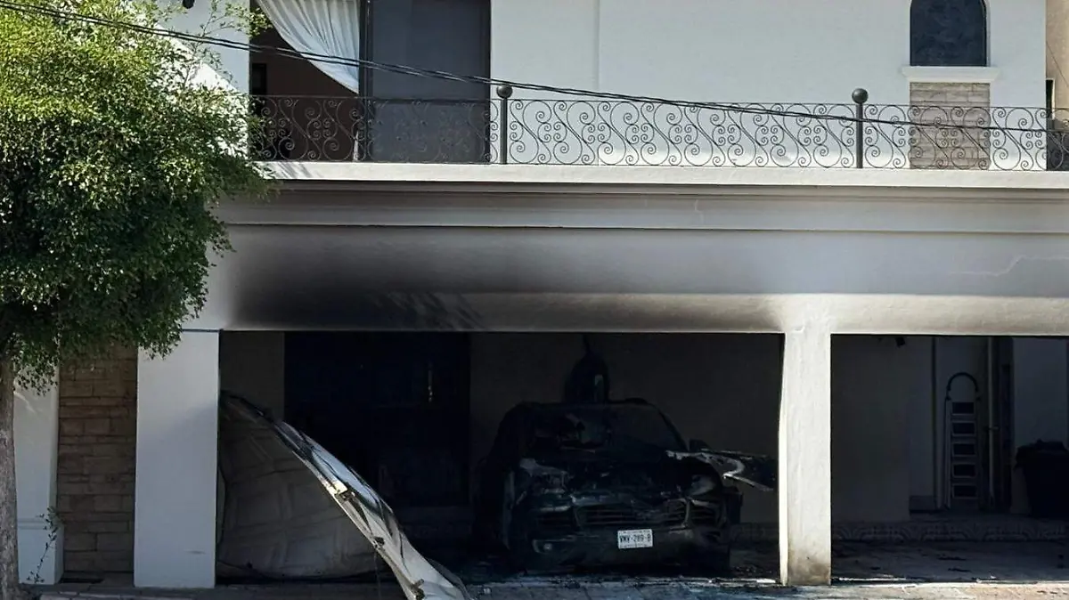 WhatsApp Image 2025-12-19 at 11.20.37 AM