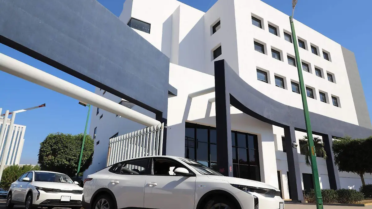 WhatsApp Image 2025-12-19 at 1.47.04 PM