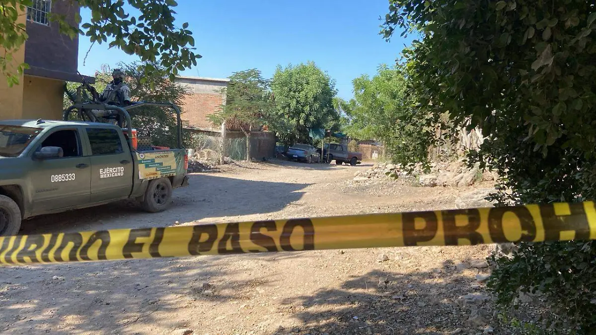 WhatsApp Image 2025-12-19 at 3.11.18 PM