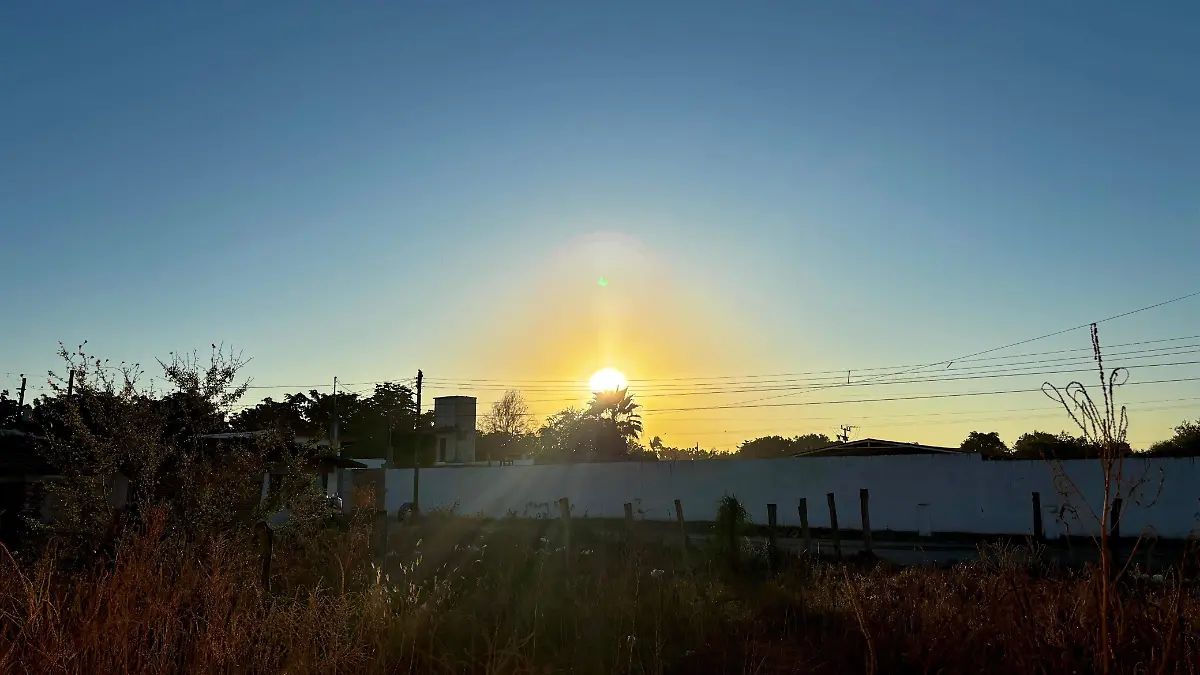 WhatsApp Image 2025-12-23 at 8.24.29 AM