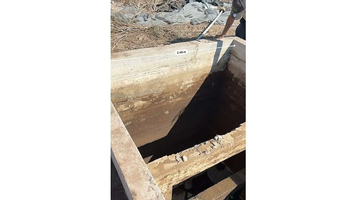 Cocodrilo-la-campana-atrapado-pileta1