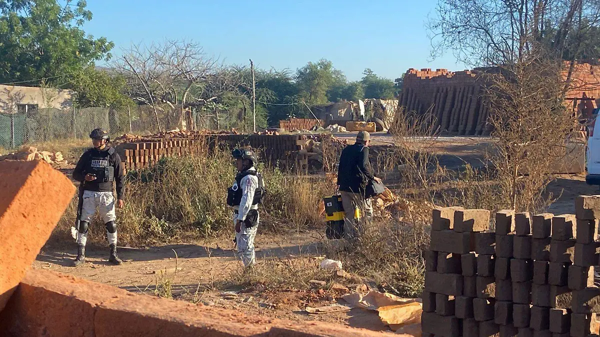 WhatsApp Image 2025-12-26 at 9.33.37 AM