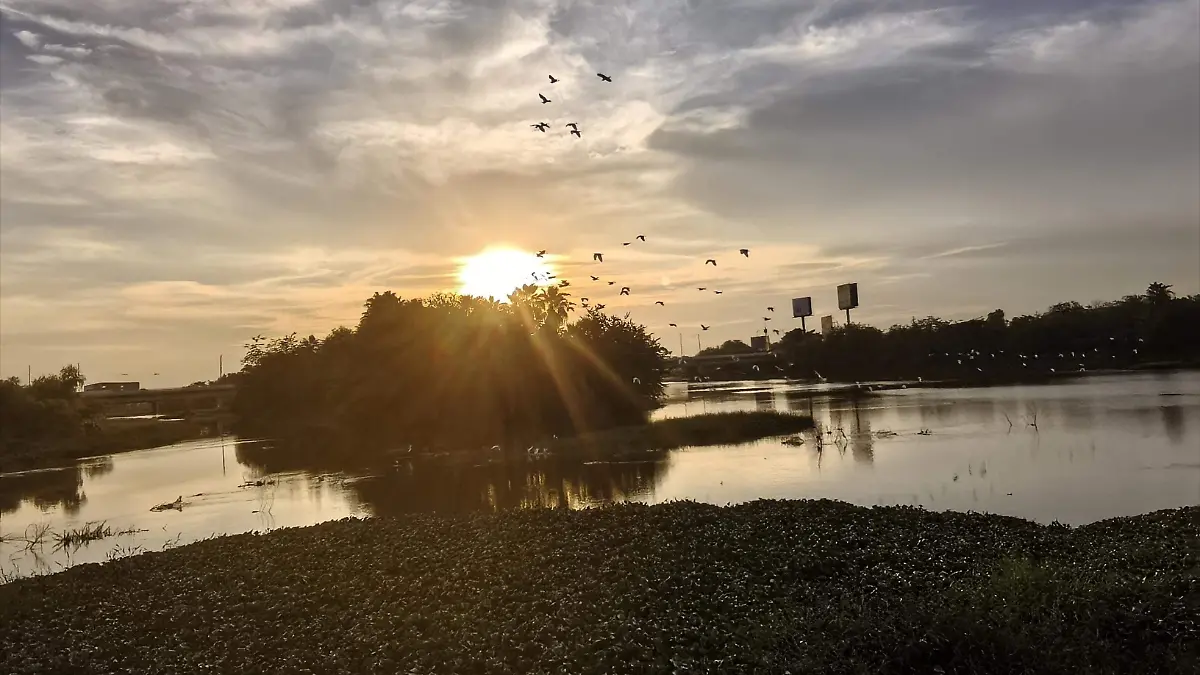clima-nublado-calido-tematica