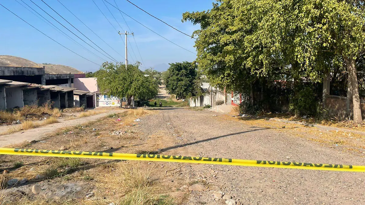 WhatsApp Image 2025-12-29 at 1.33.51 PM