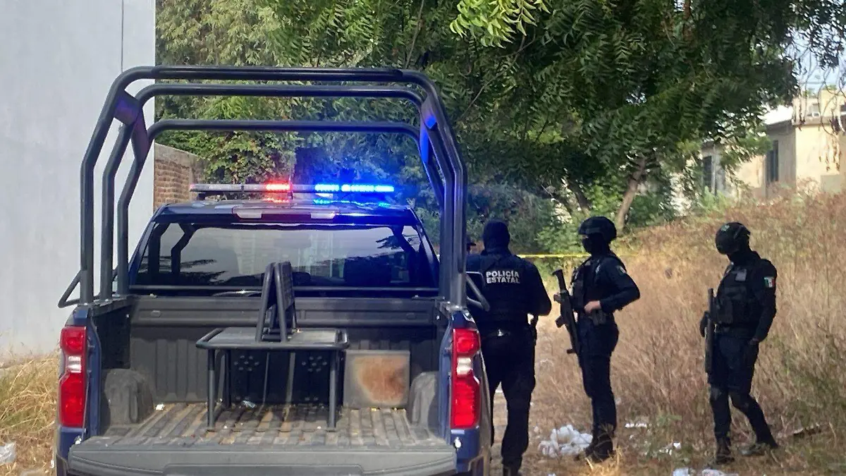 WhatsApp Image 2025-12-31 at 9.58.15 AM