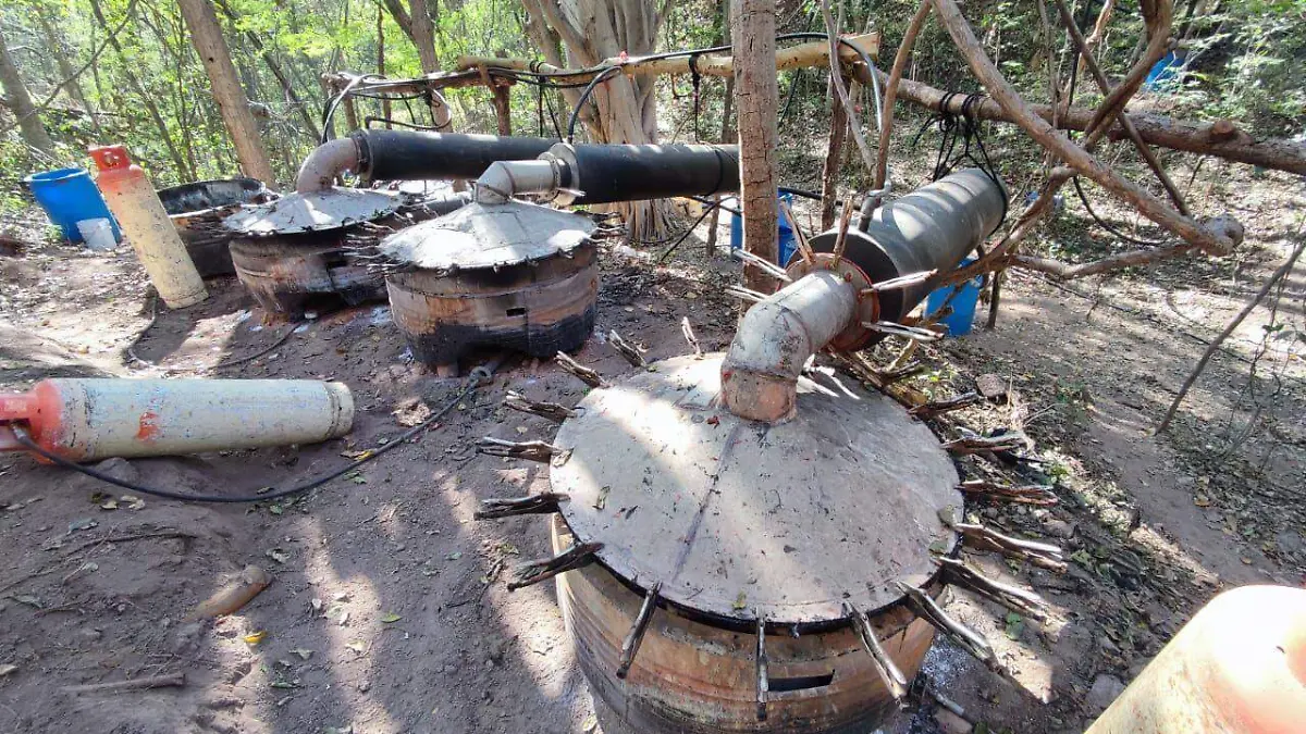 WhatsApp Image 2025-12-31 at 12.52.59 PM