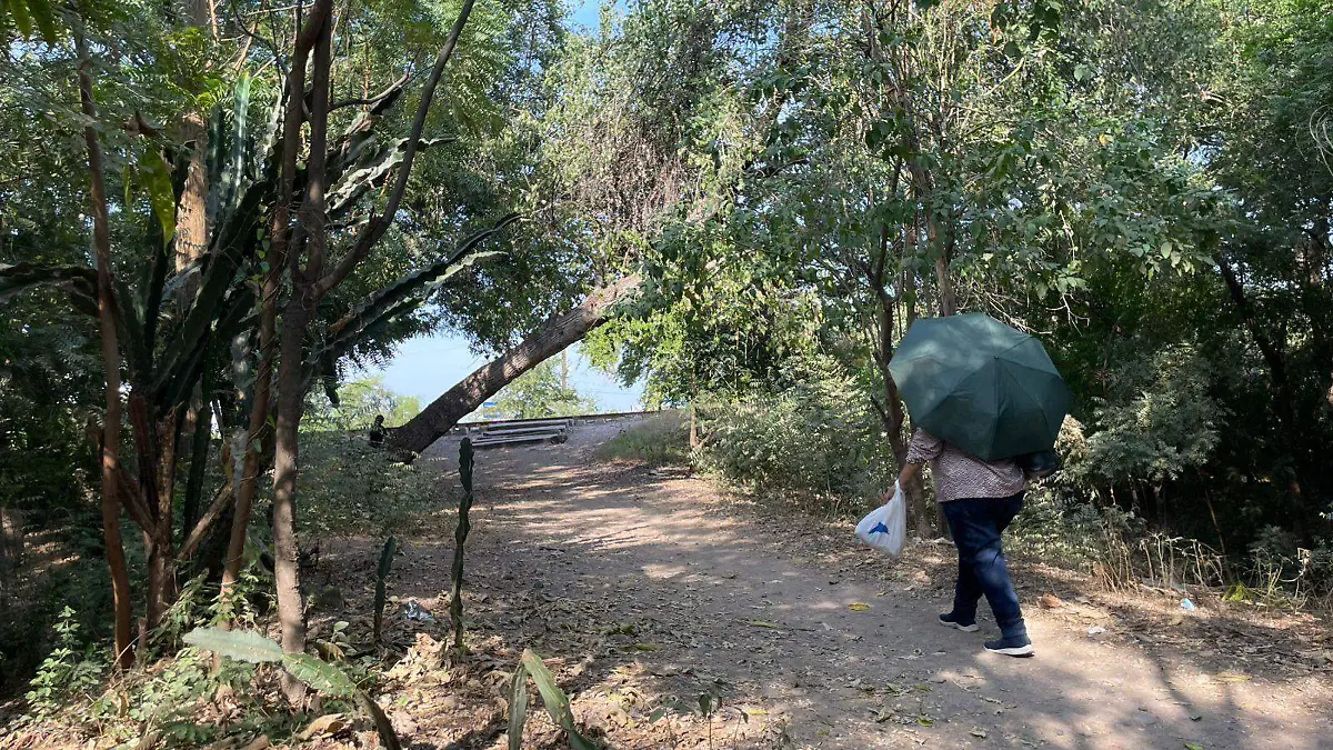 WhatsApp Image 2026-01-01 at 10.32.29 AM