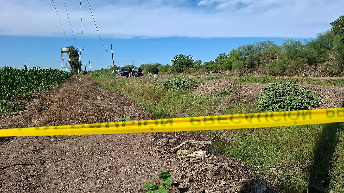 WhatsApp Image 2026-01-01 at 12.01.34 PM