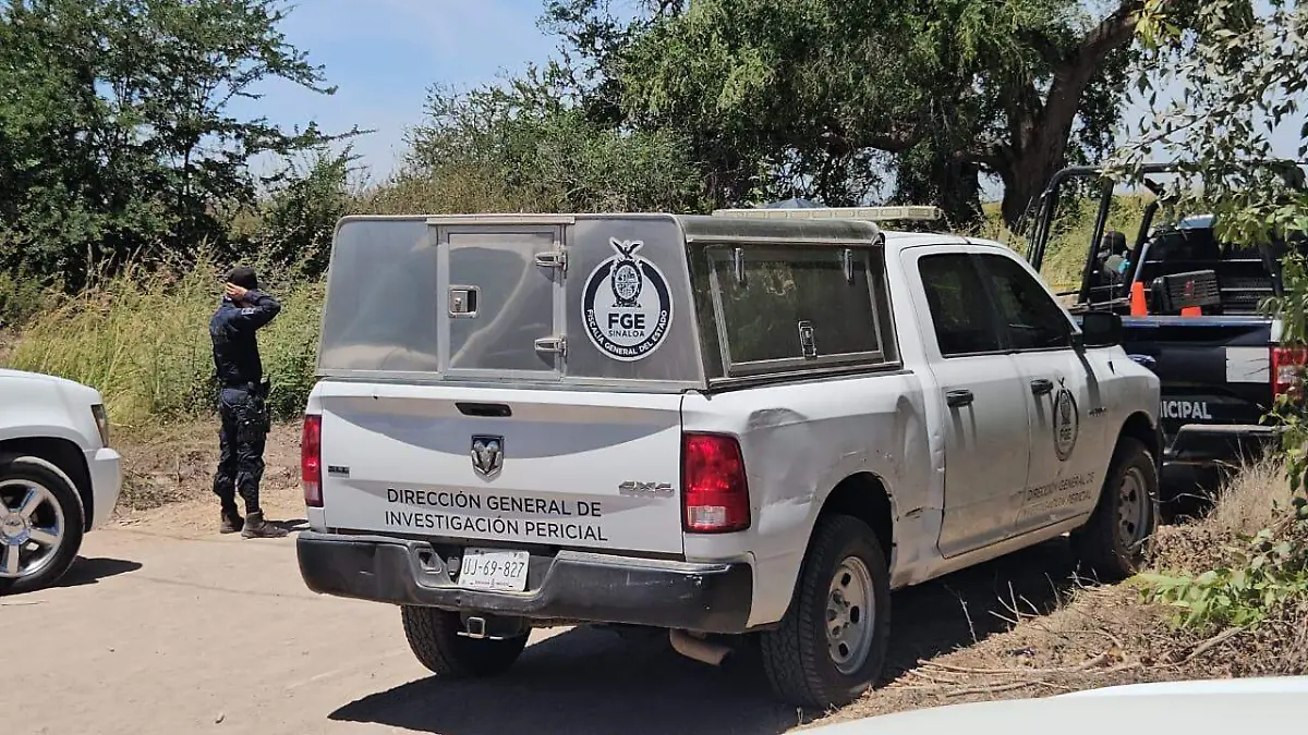 WhatsApp Image 2026-01-01 at 2.07.54 PM