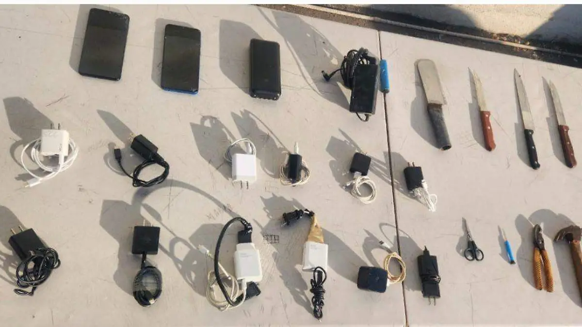 WhatsApp Image 2026-01-03 at 11.09.26 AM