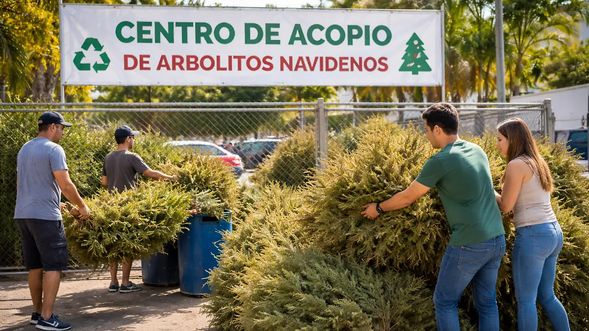 ChatGPT Image 6 ene 2026, 01_09_44 p.m.