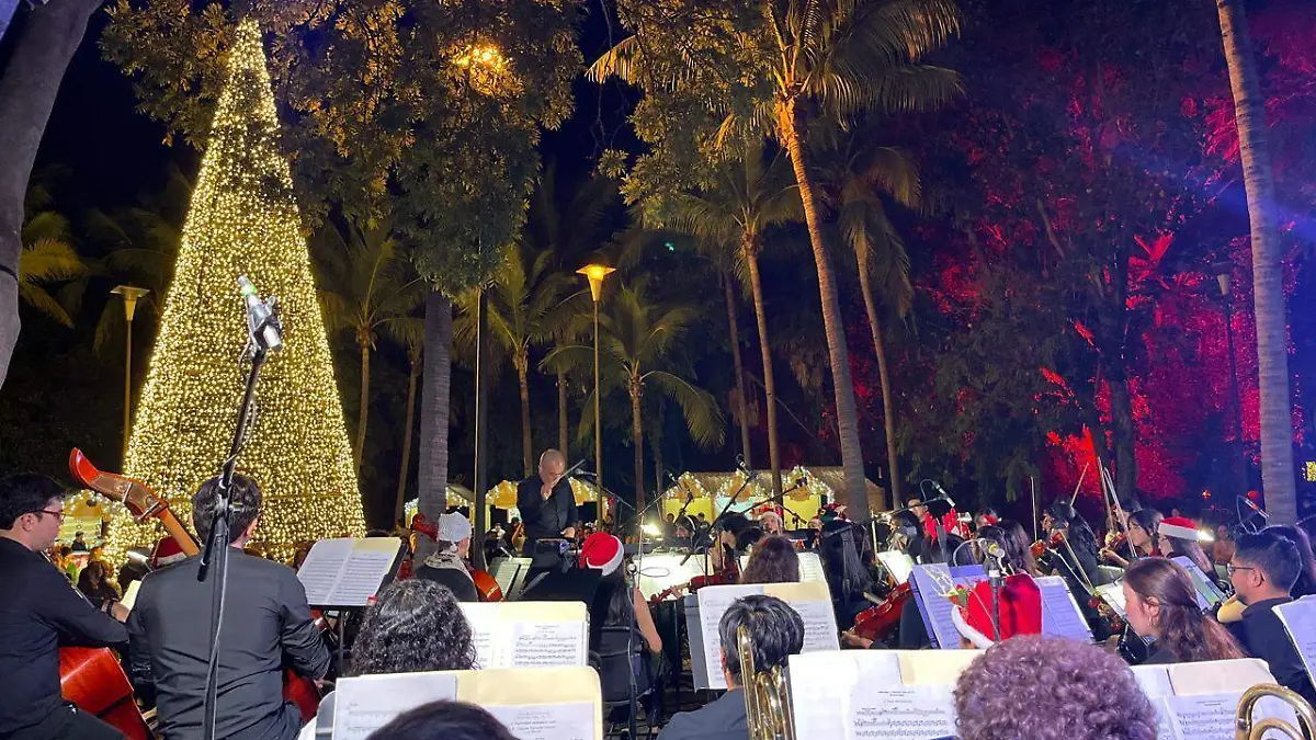 cierre-luces-jardín-botanico