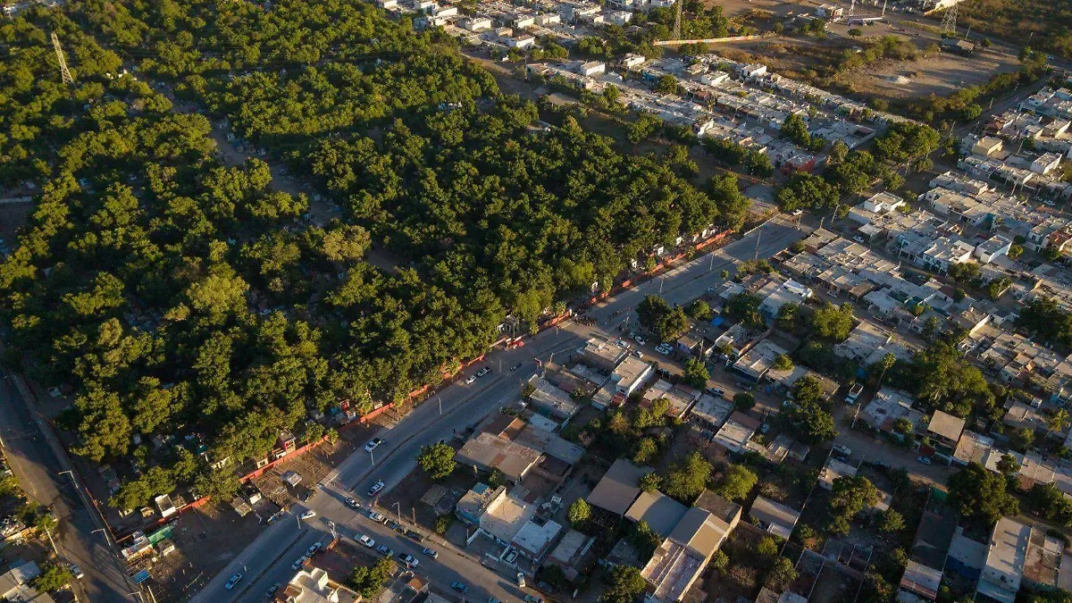 Calle-pavimentación-21-marzo 3
