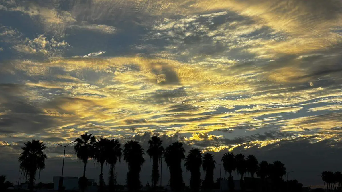 WhatsApp Image 2026-01-11 at 10.37.40 PM