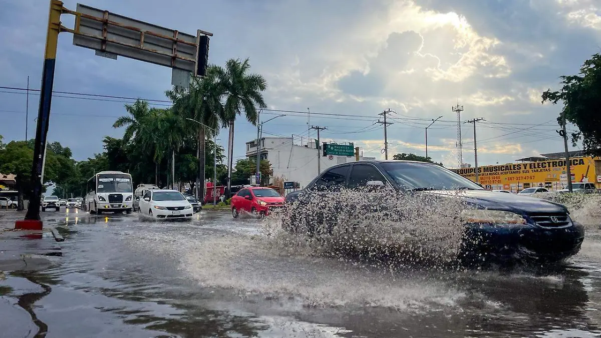 WhatsApp Image 2026-01-12 at 9.34.17 AM