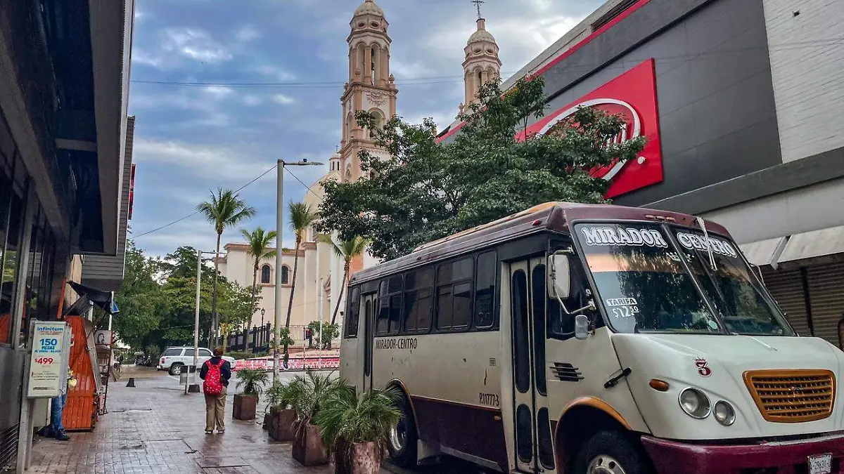 WhatsApp Image 2026-01-12 at 9.33.57 AM (3)