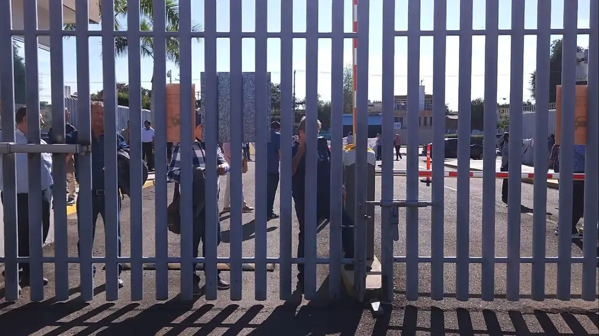 WhatsApp Image 2026-01-13 at 11.18.42 AM