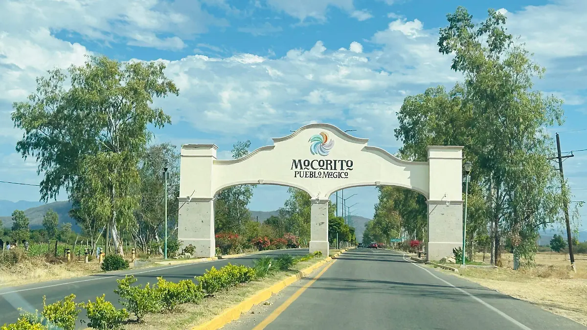 Mocorito-campo-girasol-entrada