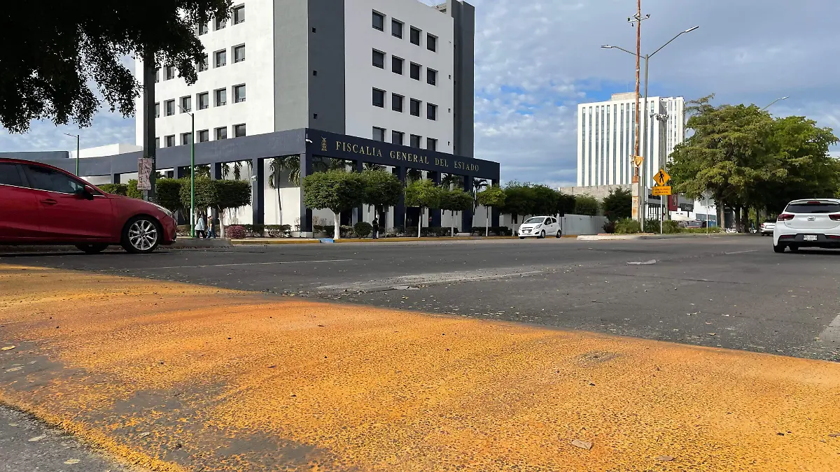 WhatsApp Image 2026-01-16 at 3.34.40 PM (1)