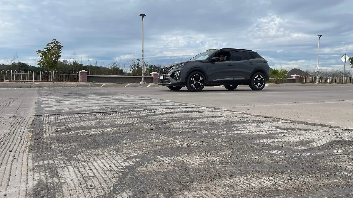 WhatsApp Image 2026-01-17 at 10.08.28 AM