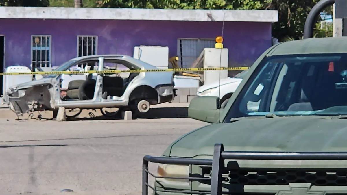 WhatsApp Image 2026-01-17 at 12.57.49 PM