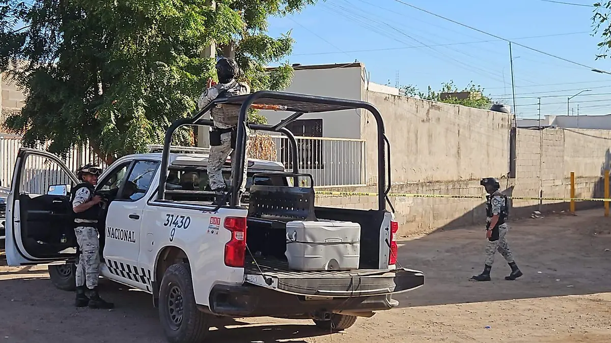 WhatsApp Image 2026-01-17 at 3.32.26 PM