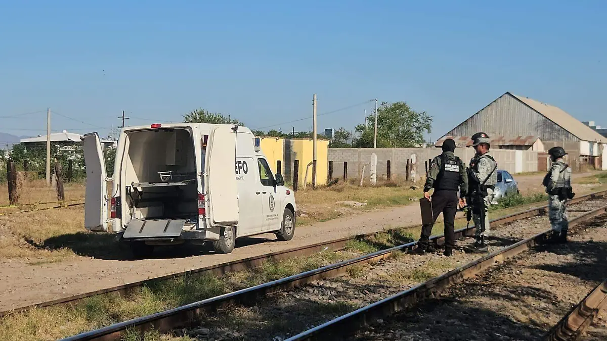 WhatsApp Image 2026-01-21 at 10.51.45 AM