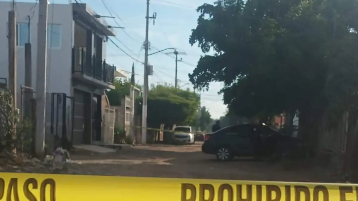 WhatsApp Image 2026-01-22 at 12.37.38 PM