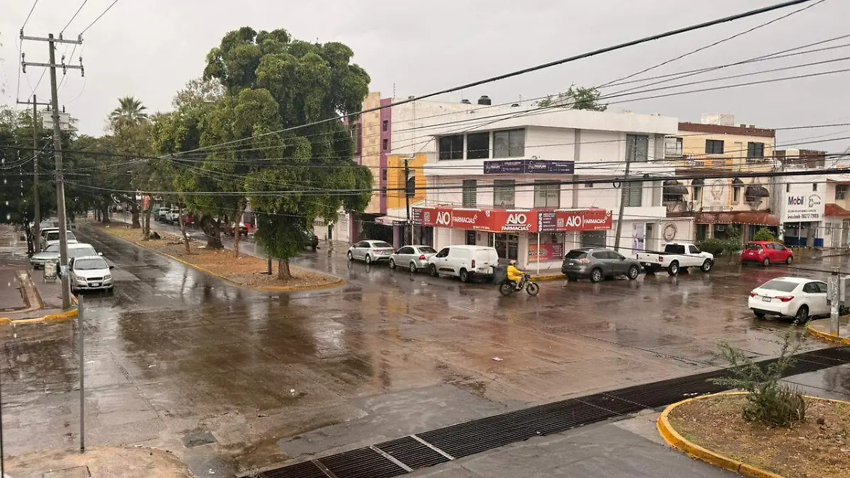 WhatsApp Image 2026-01-24 at 10.18.47 AM