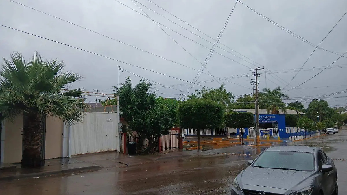 WhatsApp Image 2026-01-24 at 10.17.01 AM