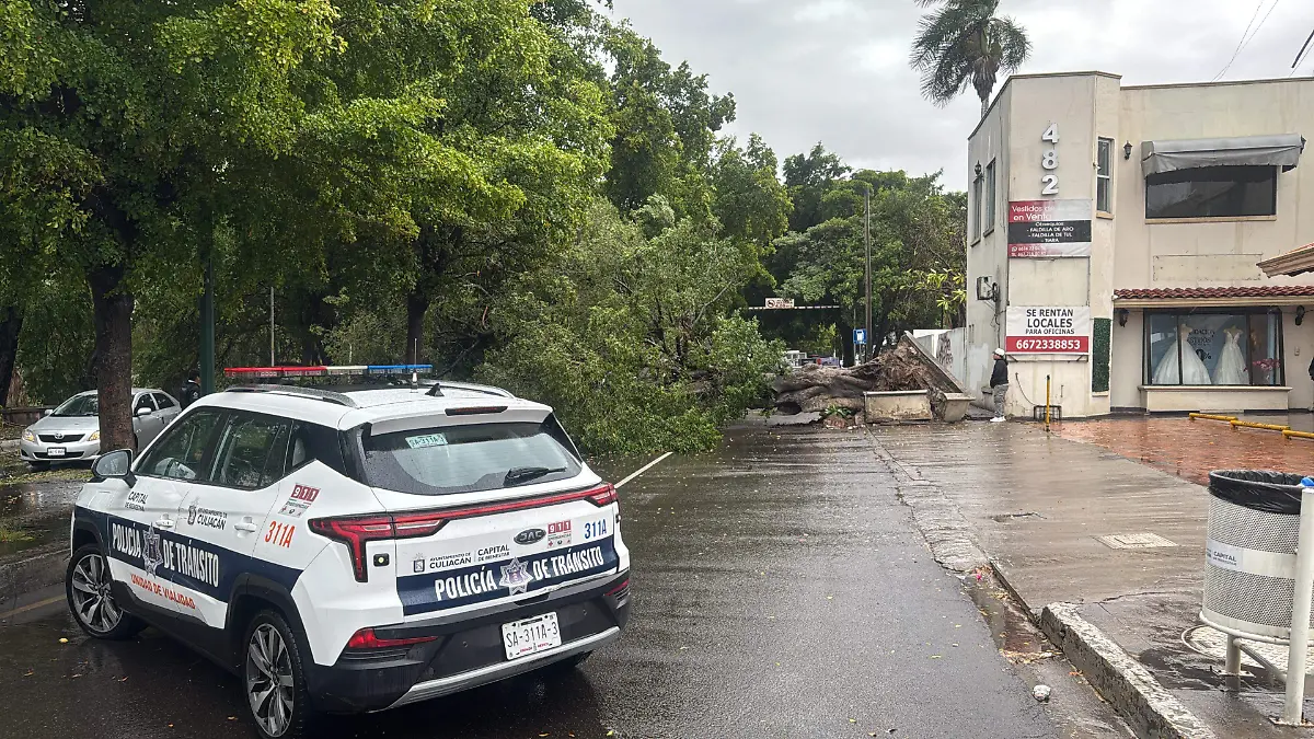 a111b0e1-2998-49fd-8bed-2a5638fe388b