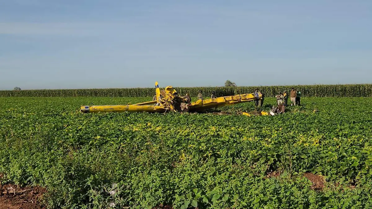 WhatsApp Image 2026-01-26 at 11.09.48 AM