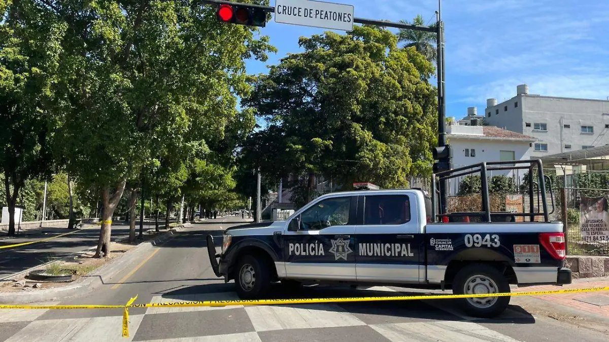 WhatsApp Image 2026-01-28 at 12.49.33 PM (1)